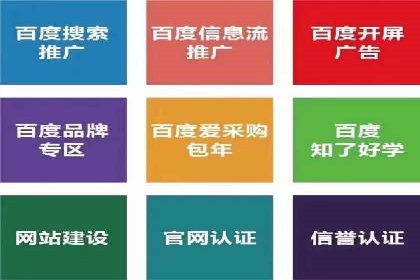 SEM代运营托管公司成功案例分析